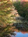 2008-10-11_Tiverton_Trustom 103